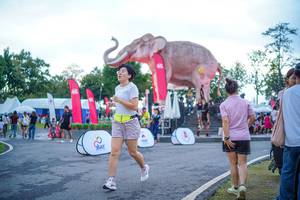 BIB: 
                            <button type="button" onclick="openModal(26551688)" class="btn btn-primary btn-sm float-right btn-popup" data-toggle="modal" data-target=".modal-high-quality">
                        <i class="fas fa-shopping-cart"></i> Add to Cart
                    </button>
                                            <button type="button" onclick="isThisMe(26551688, true)" class="btn btn-success btn-sm float-right btn-popup btn-isme hidden" data-toggle="tooltip" data-placement="bottom" title="นี่คือรูปของคุณใช่ไหม คลิกที่นี่เพื่อเอาเข้าอัลบั้ม">
                        <i class="fas fa-plus"></i> Add to album
                    </button>
                    <button type="button" onclick="isThisMe(26551688, false)" class="btn btn-warning btn-sm float-right btn-popup btn-isnotme hidden">
                        <i class="fas fa-ban"></i> Remove from album
                    </button>